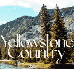 Yellowstone National Park Sweepstakes prize ilustration