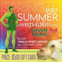 Spring Into Summer Sweepstakes prize ilustration
