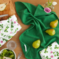 Martha Stewart Kitchen Towels Giveaway prize ilustration