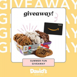Davids Cookies Summer Fun Giveaway prize ilustration