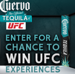 UFC Evergreen Sweepstakes prize ilustration